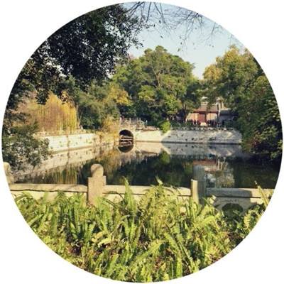 斗战西游手机版下载